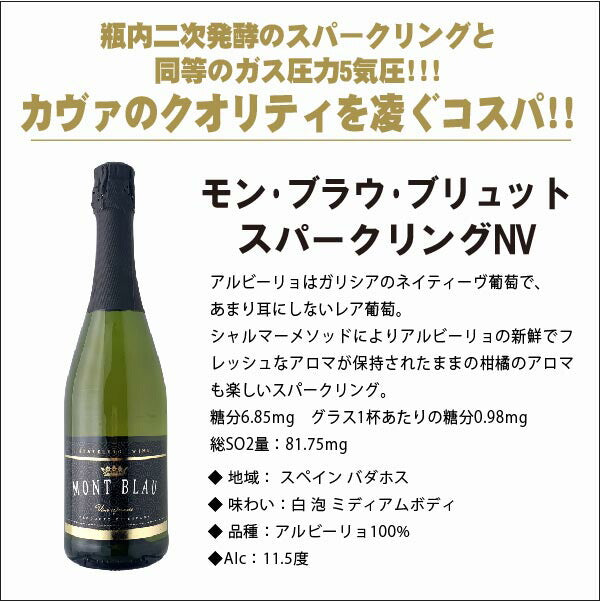【送料無料】 驚愕のキング オブ ディスカウント ワインセット 第3弾 [750ml×12本]白ワイン6本 泡白6本 ＡＬＬブランセット【北海道・東北・四国・九州・沖縄県は必ず送料がかかります】