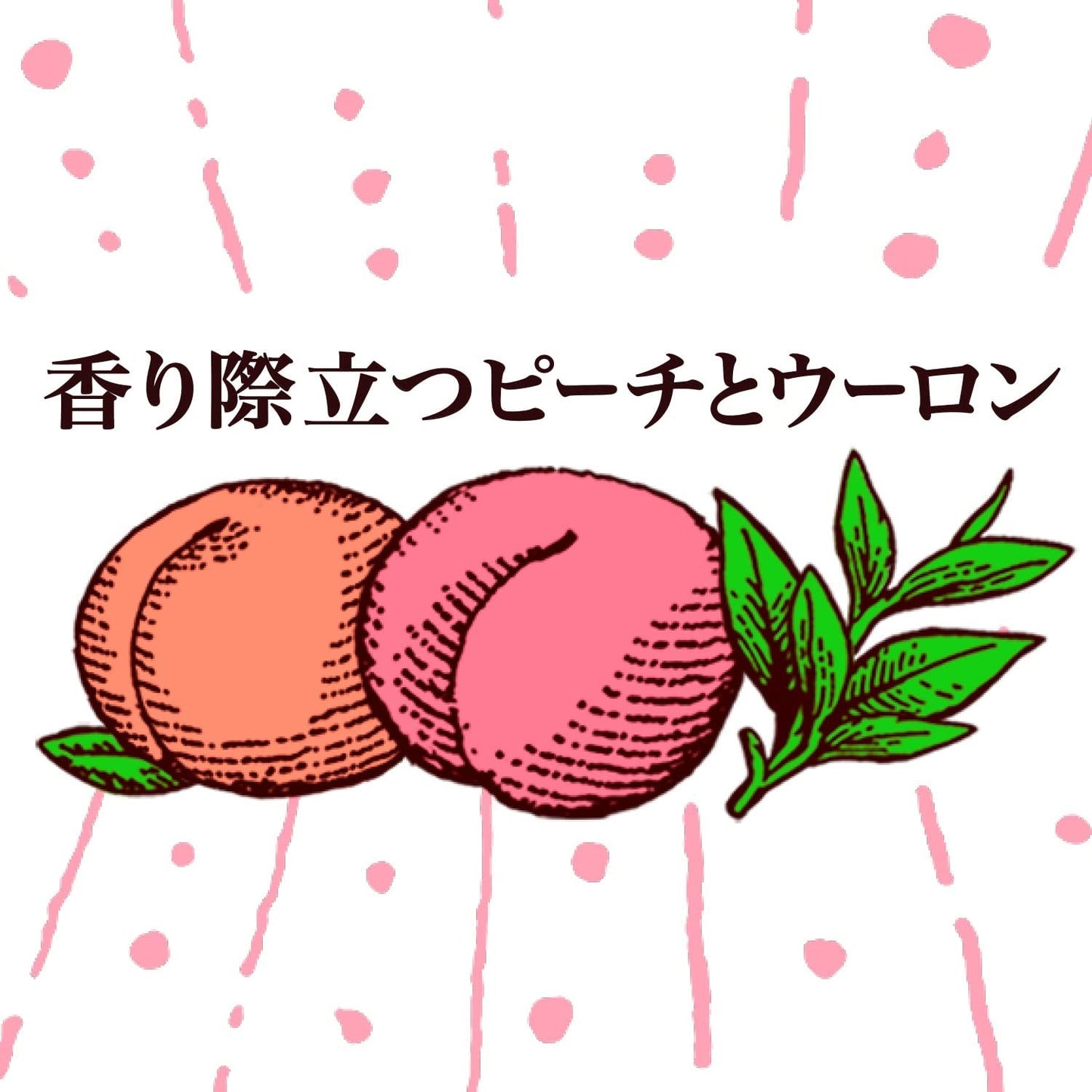 【送料無料】アサヒ ウィルキンソン タンサンピーチ＆ウーロン ＃sober (タグソバー) 450ml×1ケース/24本 炭酸水