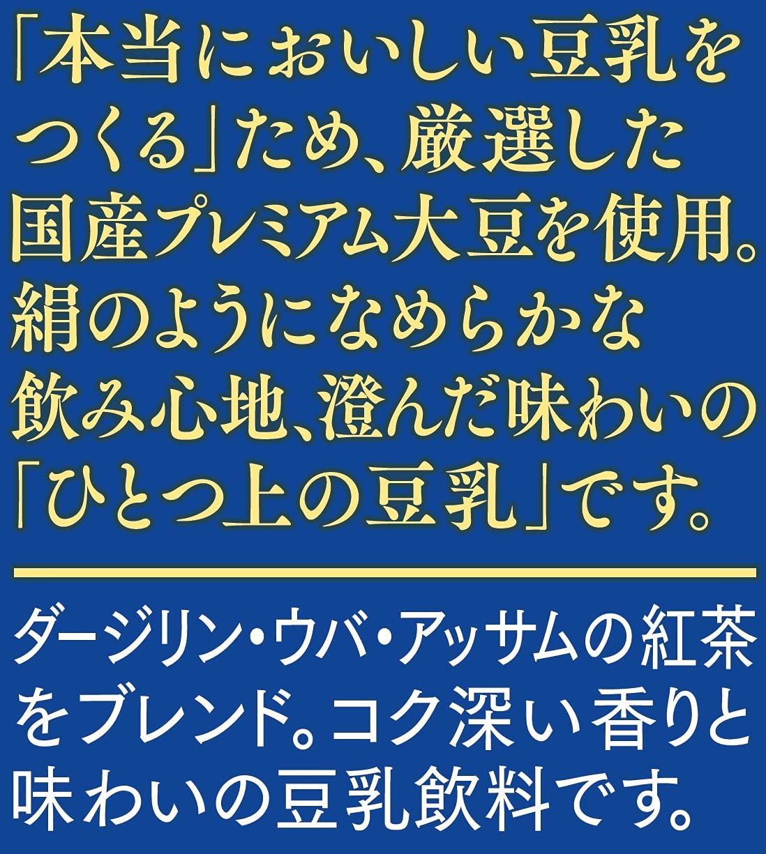 【送料無料】マルサンアイ ひとつ上の豆乳 豆乳飲料紅茶 パック 200ml×2ケース/48本