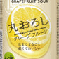 【賞味期限 訳あり】【賞味期限2023年2月】 【送料無料】宝酒造 寶「極上レモンサワー」丸おろしグレープフルーツ 350ml×24本【北海道・東北・四国・九州・沖縄県は必ず送料がかかります】訳アリ アウトレット 賞味間近 フードロス削減