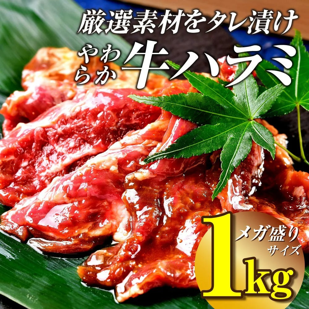肉 牛肉 焼肉 焼き肉 メガ盛り 柔らかハラミ タレ漬け メガ盛り 1kg 冷凍 食品 焼肉 BBQ お肉 牛 焼き肉 バーベキュー BBQ 送料無料 タレ 味付き 焼肉 焼き肉セット  はらみ 1キロ 以上 ホルモン 冷凍 送料無料 プレゼント 父の日