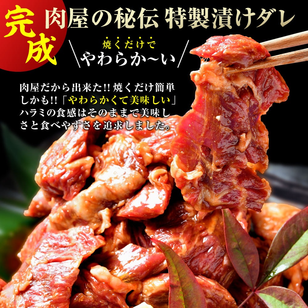 肉 牛肉 焼肉 焼き肉 メガ盛り 柔らかハラミ タレ漬け メガ盛り 1kg 冷凍 食品 焼肉 BBQ お肉 牛 焼き肉 バーベキュー BBQ 送料無料 タレ 味付き 焼肉 焼き肉セット  はらみ 1キロ 以上 ホルモン 冷凍 送料無料 プレゼント 父の日