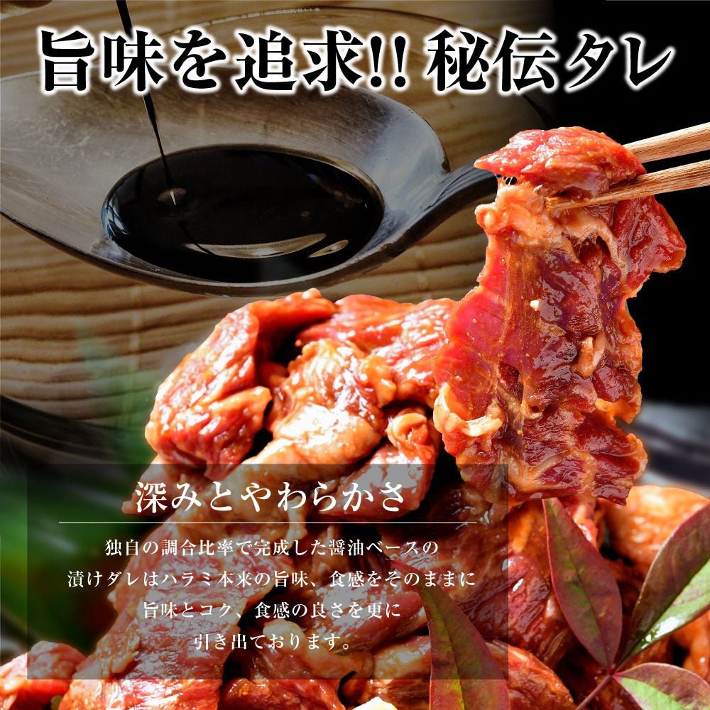 肉 牛肉 焼肉 焼き肉 メガ盛り 柔らかハラミ タレ漬け メガ盛り 1kg 冷凍 食品 焼肉 BBQ お肉 牛 焼き肉 バーベキュー BBQ 送料無料 タレ 味付き 焼肉 焼き肉セット  はらみ 1キロ 以上 ホルモン 冷凍 送料無料 プレゼント 父の日