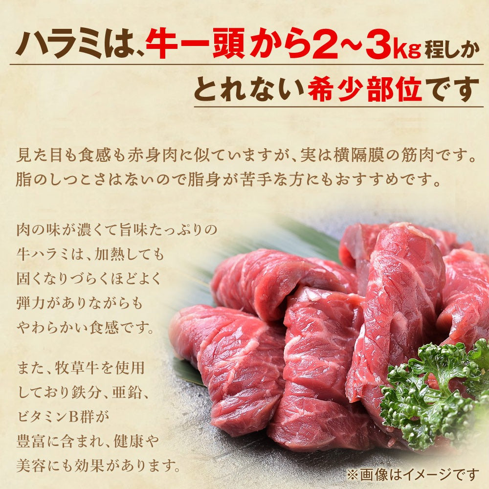 肉 牛肉 焼肉 焼き肉 メガ盛り 柔らかハラミ タレ漬け メガ盛り 1kg 冷凍 食品 焼肉 BBQ お肉 牛 焼き肉 バーベキュー BBQ 送料無料 タレ 味付き 焼肉 焼き肉セット  はらみ 1キロ 以上 ホルモン 冷凍 送料無料 プレゼント 父の日