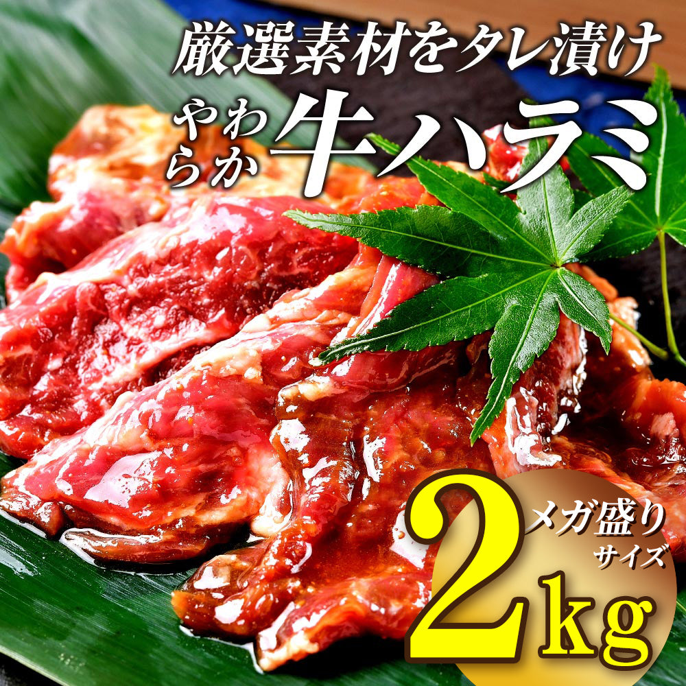 肉 牛肉 焼肉 焼き肉 メガ盛り 柔らかハラミ タレ漬け メガ盛り 2kg 冷凍 食品 焼肉 BBQ お肉 牛 焼き肉 バーベキュー BBQ 送料無料 タレ 味付き 焼肉 焼き肉セット  はらみ 1キロ 以上 ホルモン 冷凍 送料無料 プレゼント 父の日