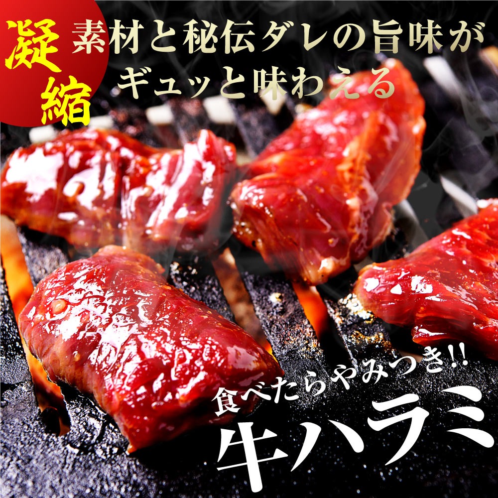肉 牛肉 焼肉 焼き肉 メガ盛り 柔らかハラミ タレ漬け メガ盛り 2kg 冷凍 食品 焼肉 BBQ お肉 牛 焼き肉 バーベキュー BBQ 送料無料 タレ 味付き 焼肉 焼き肉セット  はらみ 1キロ 以上 ホルモン 冷凍 送料無料 プレゼント 父の日