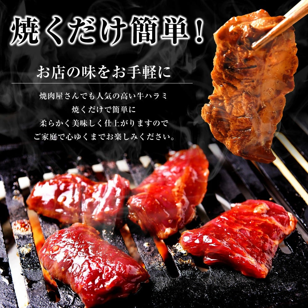 肉 牛肉 焼肉 焼き肉 メガ盛り 柔らかハラミ タレ漬け メガ盛り 2kg 冷凍 食品 焼肉 BBQ お肉 牛 焼き肉 バーベキュー BBQ 送料無料 タレ 味付き 焼肉 焼き肉セット  はらみ 1キロ 以上 ホルモン 冷凍 送料無料 プレゼント 父の日