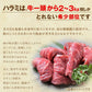 肉 牛肉 焼肉 焼き肉 メガ盛り 柔らかハラミ タレ漬け メガ盛り 2kg 冷凍 食品 焼肉 BBQ お肉 牛 焼き肉 バーベキュー BBQ 送料無料 タレ 味付き 焼肉 焼き肉セット  はらみ 1キロ 以上 ホルモン 冷凍 送料無料 プレゼント 父の日