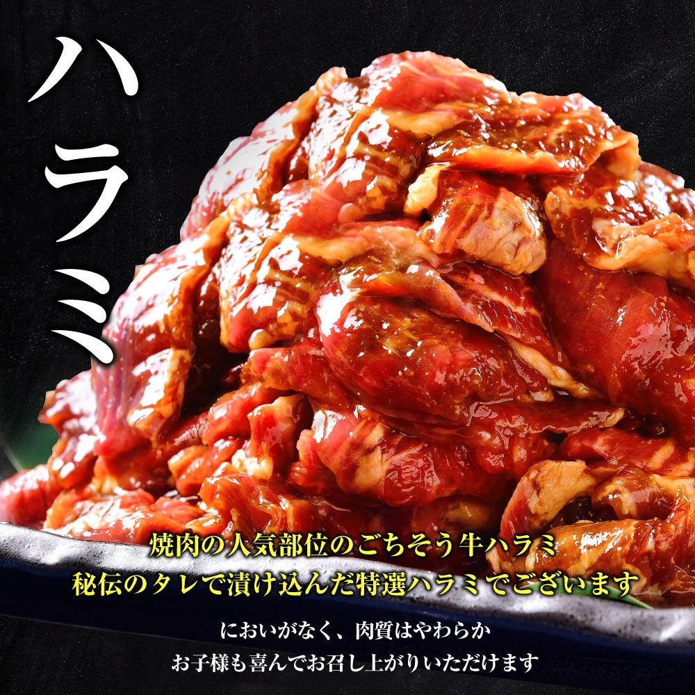 肉 牛肉 焼肉 焼き肉 メガ盛り 牛タン 柔らか牛ハラミ タレ漬け 1kg 冷凍 食品 焼肉 BBQ お肉 牛 焼き肉 バーベキュー BBQ 送料無料 タレ 味付き 焼き肉セット はらみ 1キロ 以上 ホルモン 冷凍 送料無料 プレゼント 御歳暮