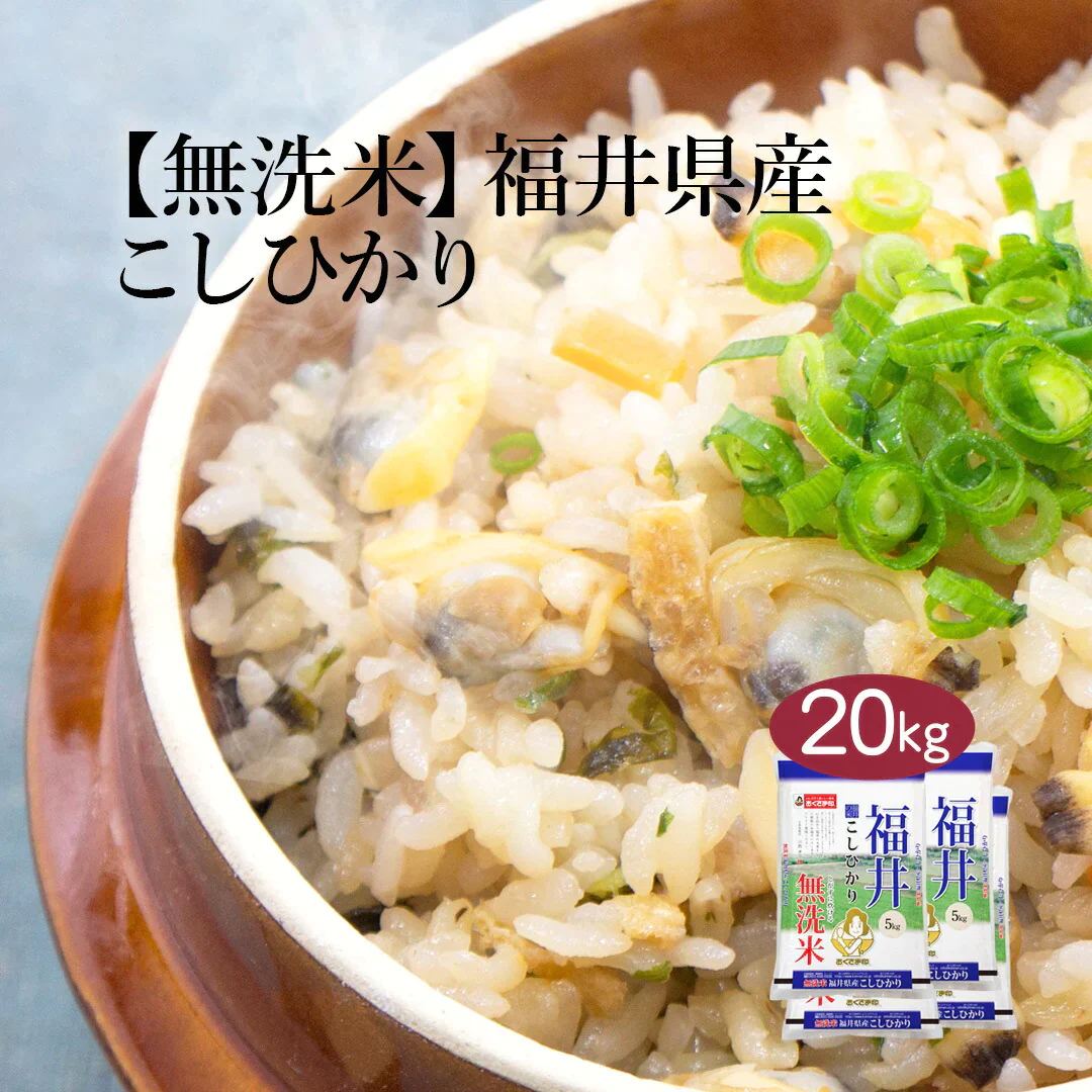 無洗米 米 福井県産 こしひかり 20kg (5kg×4) 令和5年産 新米 お米 白米 おくさま印 国産 食品 ギフト 引っ越し 挨拶 出産 内祝い 母の日 父の日 お中元 お歳暮 結婚 快気 還暦 香典返し お年賀 送料無料
