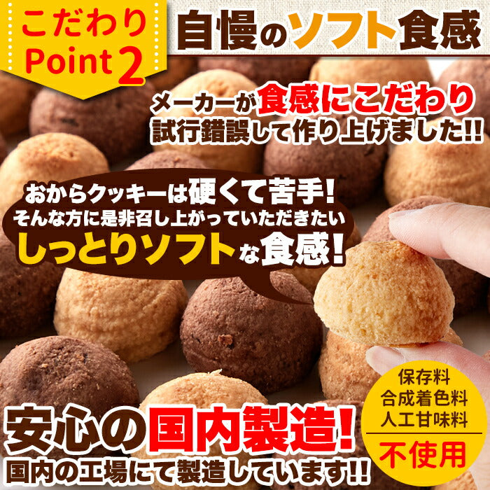 イヌリン入豆乳おからクッキー 500g (チョコ オレンジ) 豆乳 おから オカラクッキー 大量 お菓子 洋菓子 おやつ 焼菓子 イヌリン クッキー プチ