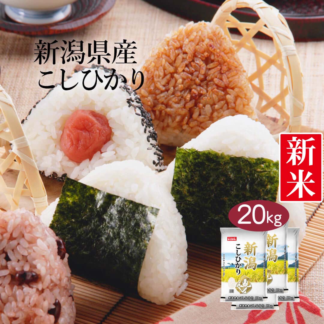 米 新潟県産 こしひかり 20kg (5kg×4) 令和5年産 新米 お米 白米 おくさま印 国産 食品 ギフト 引っ越し 挨拶 出産 内祝い 母の日 父の日 お中元 お歳暮 結婚 快気 還暦 香典返し 寒中 暑中見舞い お年賀 送料無料