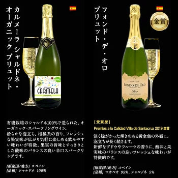 厳選 金賞入り 高品質 全部 辛口 スパークリング ワイン 12本 飲み比べ セット ［常温］ 【送料無料】 [W][S] 泡 イタリア スペイン シャンパン製法 瓶内二次発酵 カヴァ スプマンテ オーガニック 入り ギフト おすすめ 飲み比べ【エコ得】