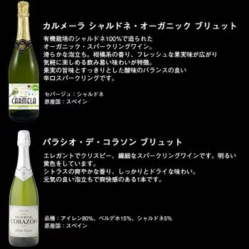 【送料無料】金賞・シャンパーニュ製法入り 辛口スパークリングワイン 12本セット［常温］【4〜5営業日以内に出荷】[W][S]