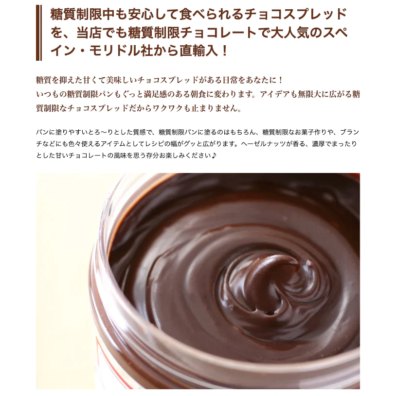 【大アウトレット】【訳あり】モリドル 糖質制限 チョコスプレッド2個×250g【ドットコム】【常温】【ゲリラセール】