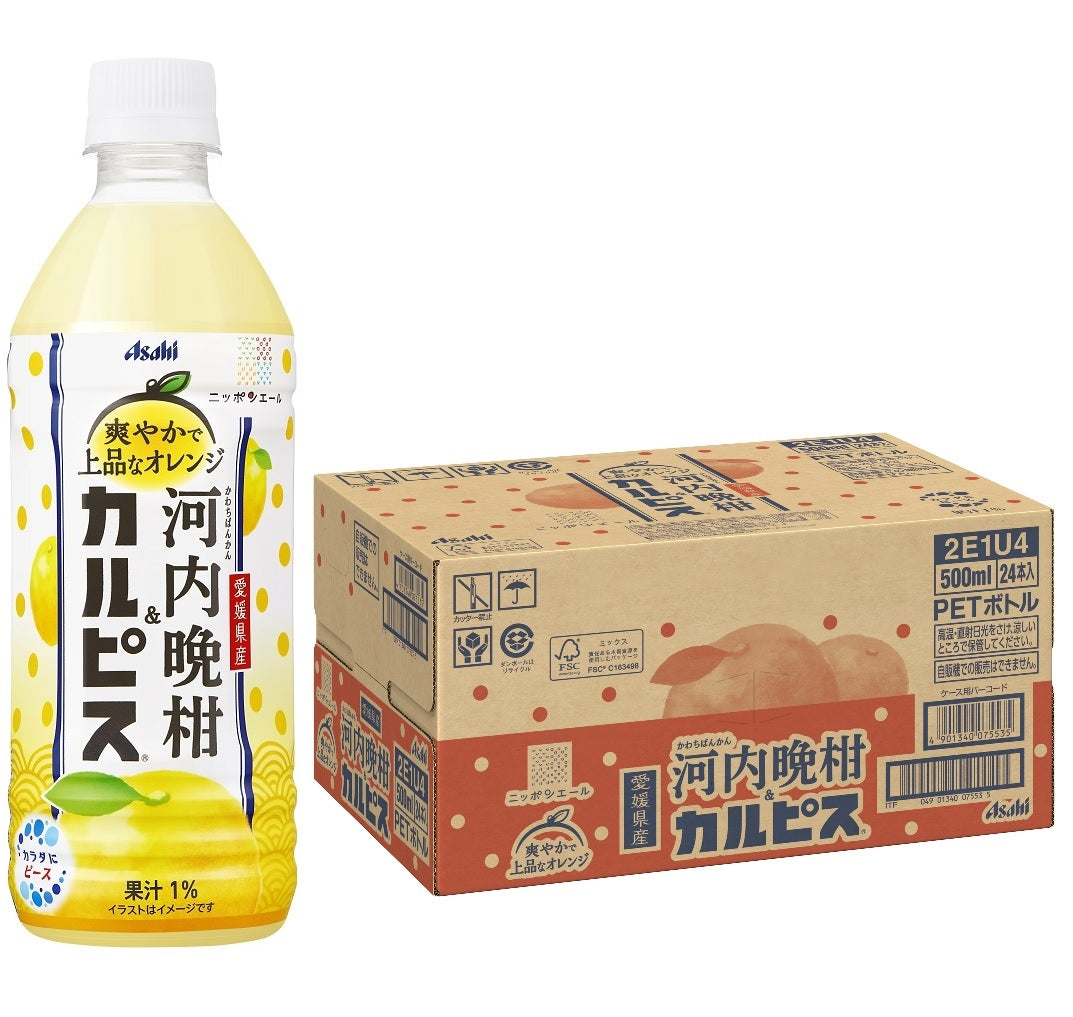 【送料無料】アサヒ飲料 愛媛県産河内晩柑&カルピス500ml×1ケース/24本
