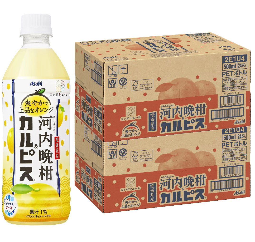 【送料無料】アサヒ飲料 愛媛県産河内晩柑&カルピス500ml×2ケース/48本