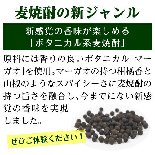 【送料無料】濱田酒造 ボタニカル系 麦焼酎 CHILL GREEN spicy&citrus 25度 720ml×12本【本州(一部地域を除く)は送料無料】