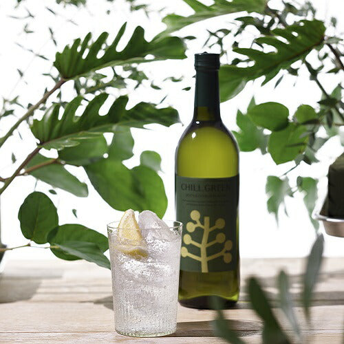 【送料無料】濱田酒造 ボタニカル系 麦焼酎 CHILL GREEN spicy&citrus 25度 720ml×2本【本州(一部地域を除く)は送料無料】