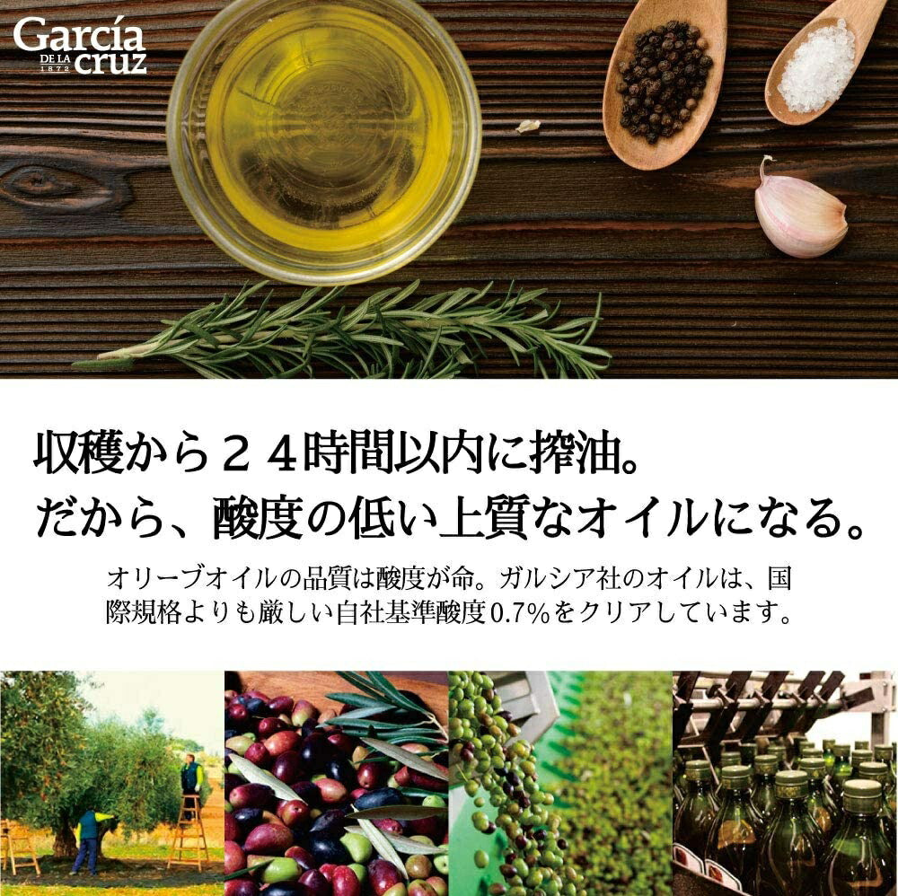 【送料無料】富永貿易 ガルシア エクストラバージンオリーブオイル ペット 1000ml 1L ×6本【北海道・東北・四国・九州・沖縄県は必ず送料がかかります】