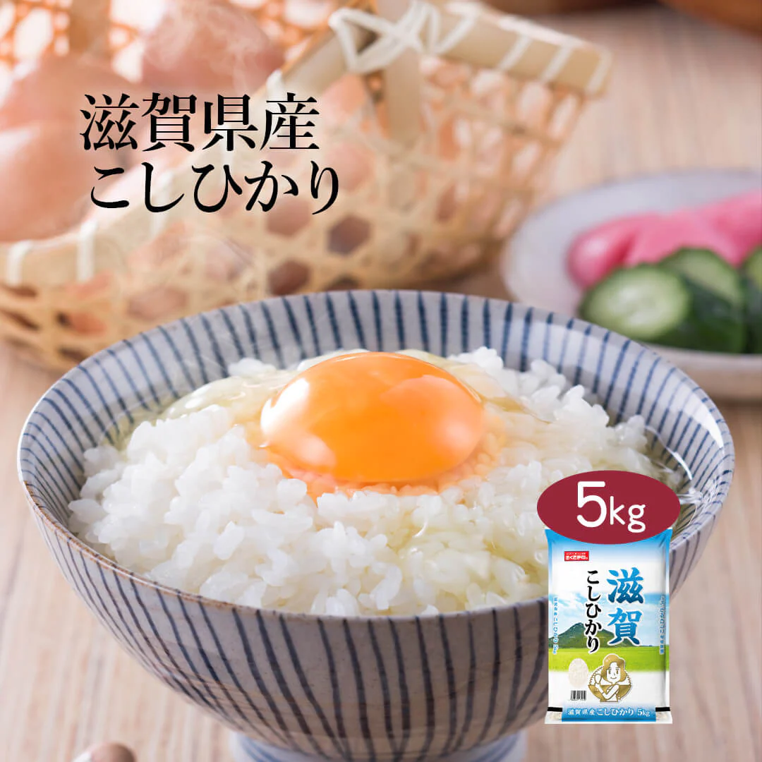 米 精米 滋賀県産 こしひかり 5kg 令和5年産 新米 お米 白米 おくさま印 国産 食品 ギフト 引っ越し 挨拶 出産 内祝い 母の日 父の日 お中元 お歳暮 結婚 快気 還暦 香典返し 寒中 暑中見舞い お年賀 送料無料