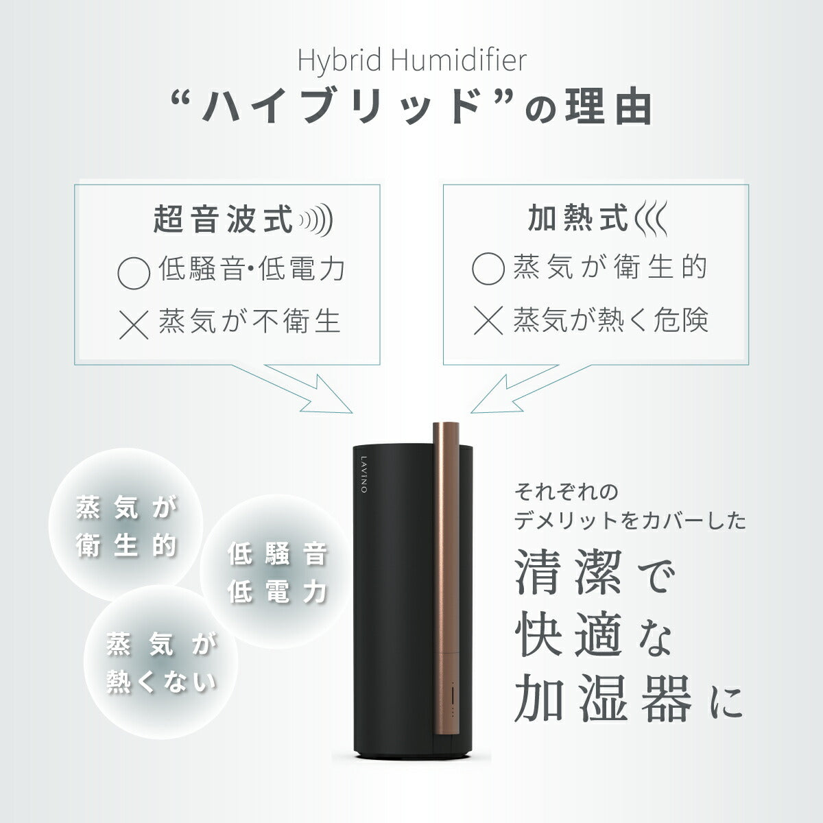 【3人シェア買いでお得】ラビーノ 黒