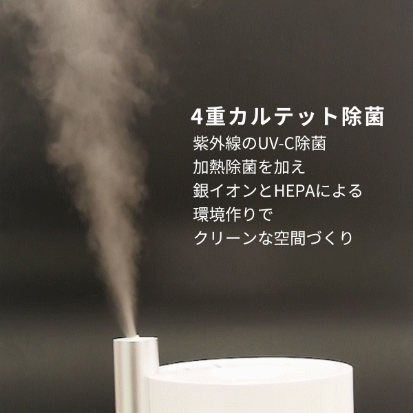 【3人シェア買いでお得】ラビーノ 黒