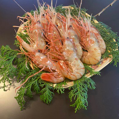 500g 10～12尾入れ ロシア産 ボタンエビ 冷凍 生食用