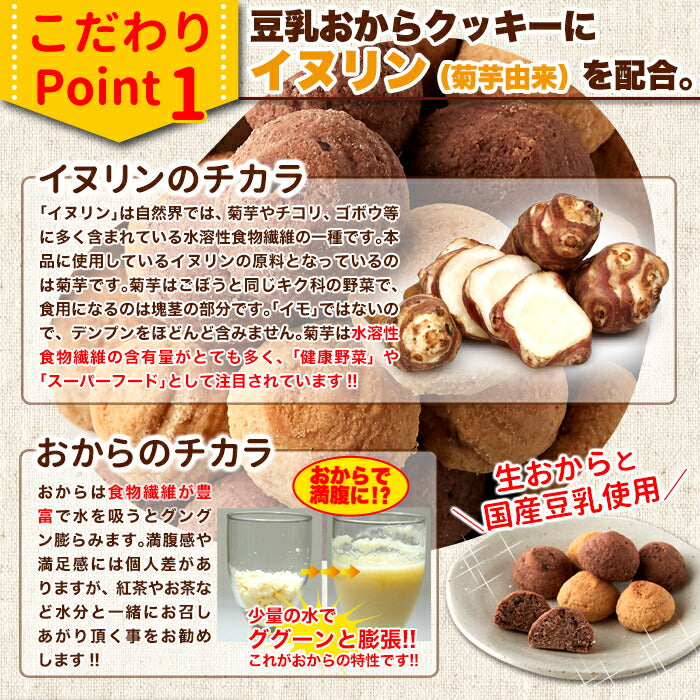 イヌリン入豆乳おからクッキー 500g (チョコ オレンジ) 豆乳 おから オカラクッキー 大量 お菓子 洋菓子 おやつ 焼菓子 イヌリン クッキー プチ