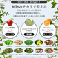【2個セット】 ピコモンテ オールインワンジェル  パウチ 180g×2種類セット ボタニカル＆アスタキサンチン オールインワンゲル 時短 スキンケア ジェル 日本製 天然エキス 配合 オリーブ果実油 コスメ 化粧品 スキンケア ゆうパケット 送料込み