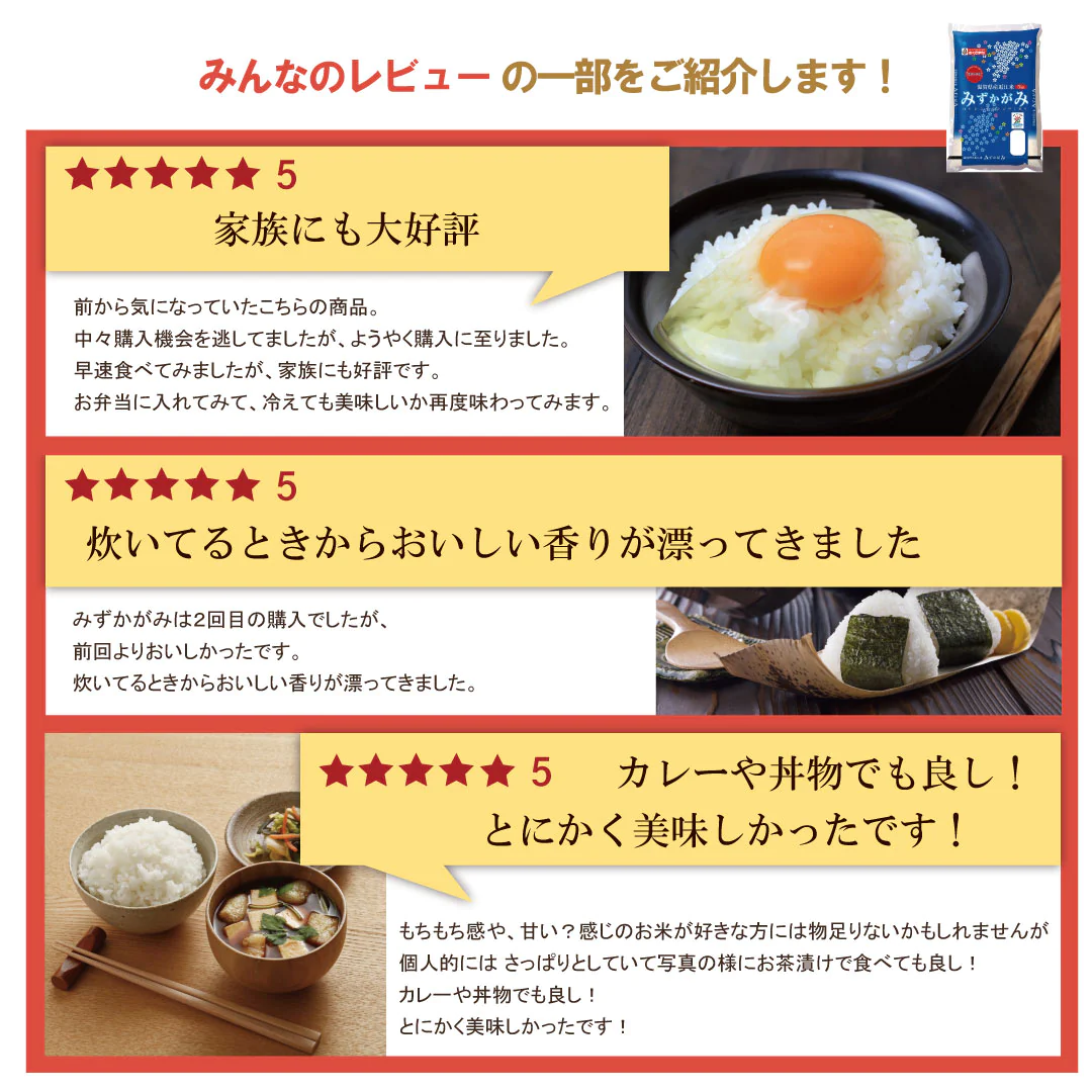 米 精米 滋賀県産 近江米 みずかがみ 20kg (5kg×4) 令和5年産 新米 お米 白米 おくさま印 国産 食品 ギフト 引っ越し 挨拶 出産 内祝い 母の日 父の日 お中元 お歳暮 結婚 快気 還暦 香典返し お年賀 送料無料