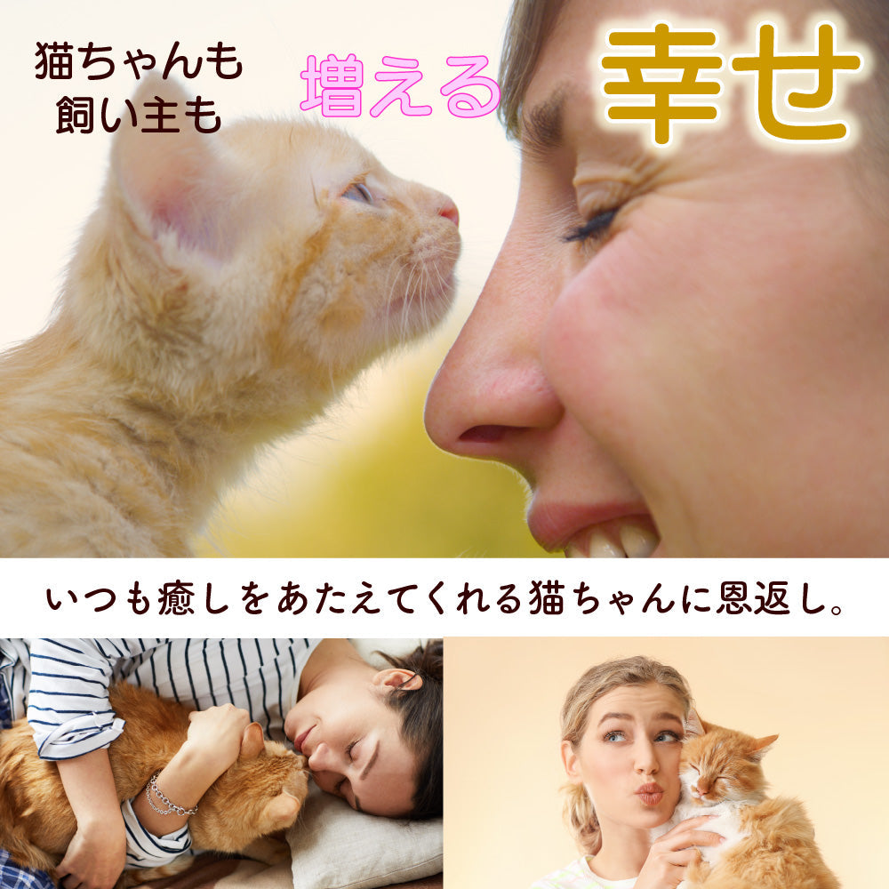 キャットタワー 高さ173cm 据え置き おしゃれ かわいい ペット 猫 ネコ 運動不足解消 大型 小型 多頭飼い 爪研ぎ 爪とぎ 麻紐 ハウス 子猫 シニア グレー ベージュ アイボリー 畳 部屋 据え置き 組立簡単 かんたん おもちゃ 室内 運動