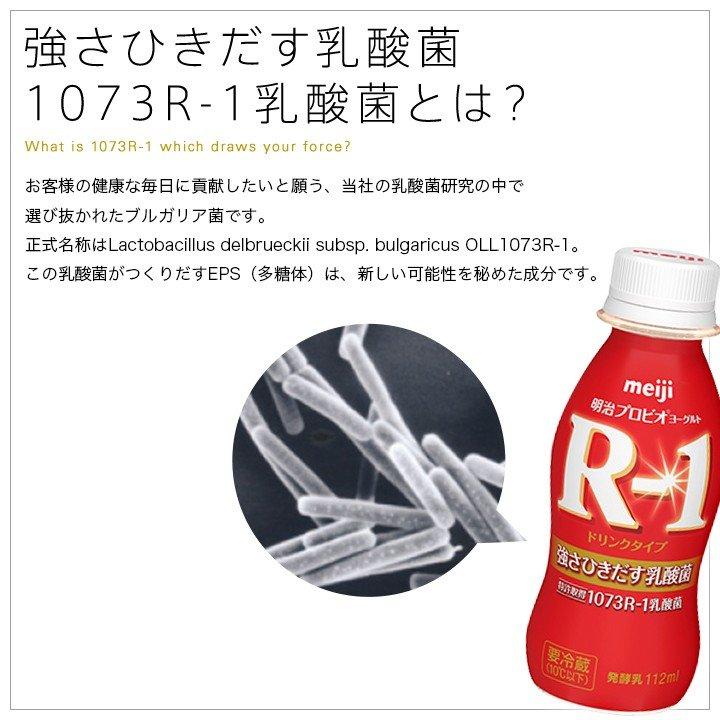 R-1 48本セット