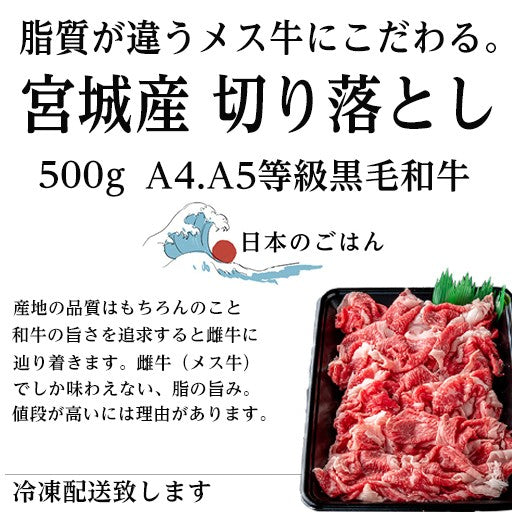 国産黒毛和牛（宮城産） 切り落とし 500g