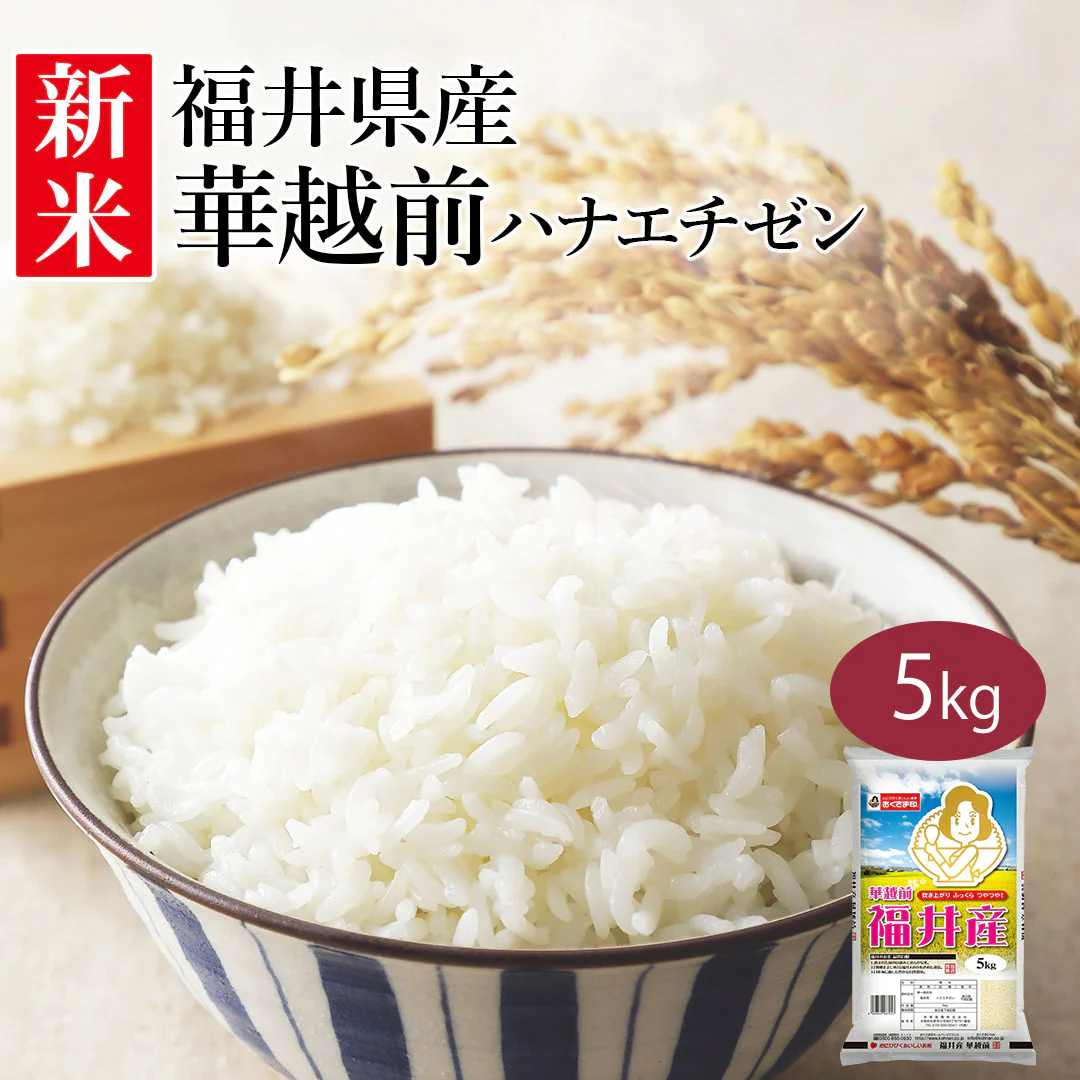 米 精米 福井県産 華越前 ハナエチゼン 5kg 令和5年産 新米 お米 白米 おくさま印 国産 食品 ギフト 引っ越し 挨拶 出産 内祝い 母の日 父の日 お中元 お歳暮 結婚 快気 還暦 香典返し お年賀 送料無料