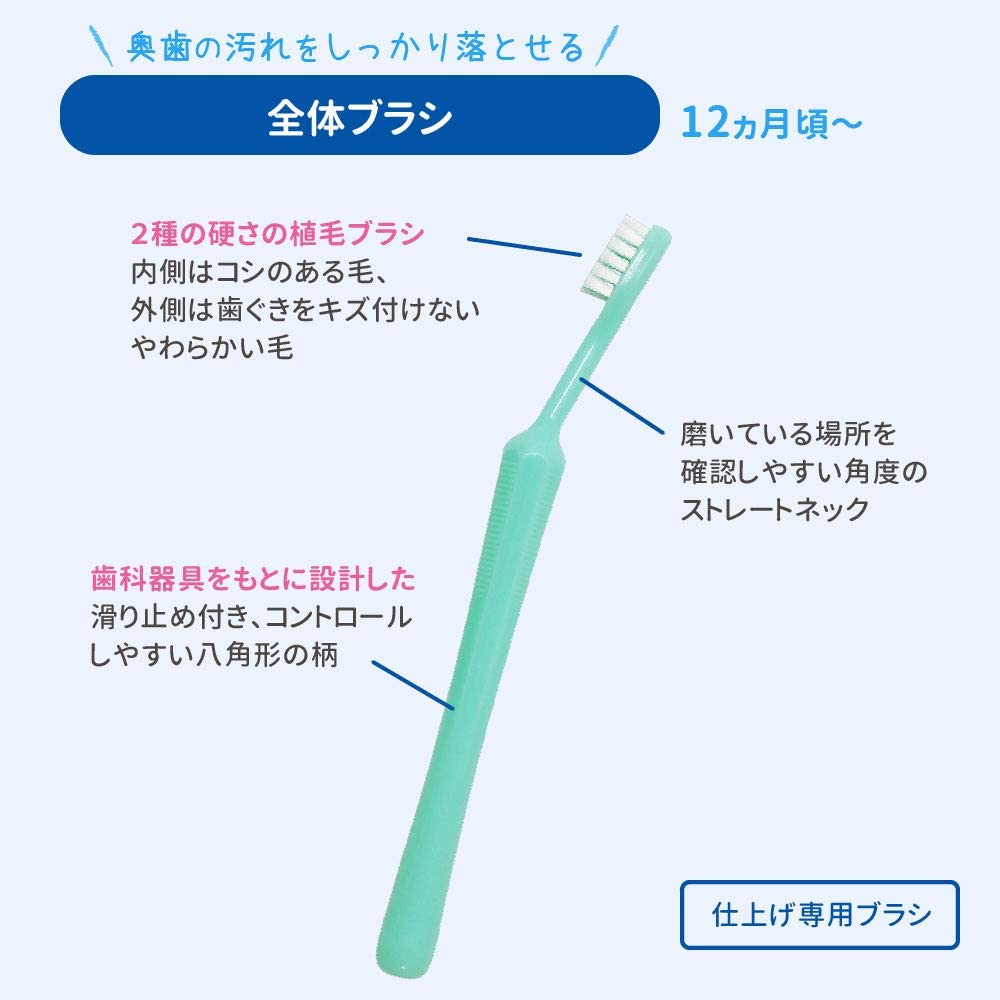 ピジョン 乳歯ケア 仕上げ専用 全体&ポイントみがきセット 12か月~