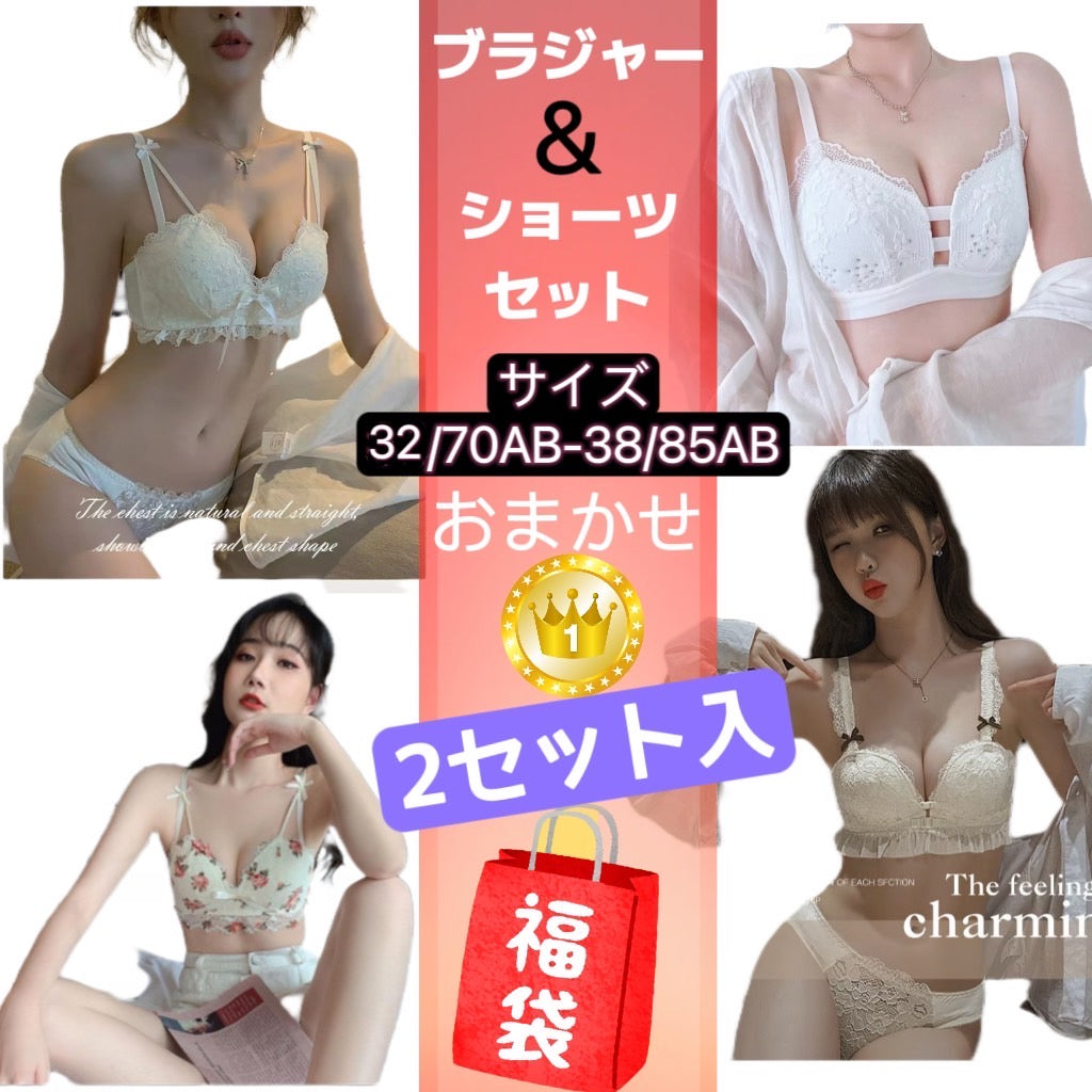 お得１０組 限定　サイズ34/75AB　福袋ブラジャー　2セット入！！最安値挑戦 超盛れるブラジャー下着 上下セット 可愛い ショーツ 刺繍レース ノンワイヤー痛くない自胸で谷間復活ナイトブラ 下着 セクシー ブラショーツセット接触冷感 ブラ ブラジャー 夏 ブラジャー レディース ノンワイヤー 吸水速乾 メッシュ 涼しい ノンワイヤーブラ スポーツブラ ブラトップ ワイヤレスブラ 大きいサイズ ナイトブラブラジャー　下着　ノンワイヤ　ナイトブラ　寝ながら育乳　シームレスブラ　インナー  補正下着