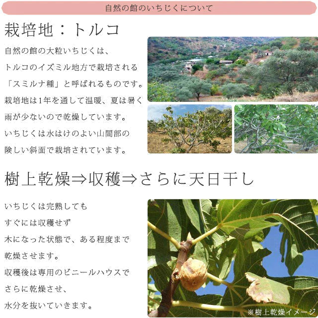 【超得ハイパーSALE】700g 大粒ドライいちじく砂糖不使用 イチジク ドライフルーツ 送料無料