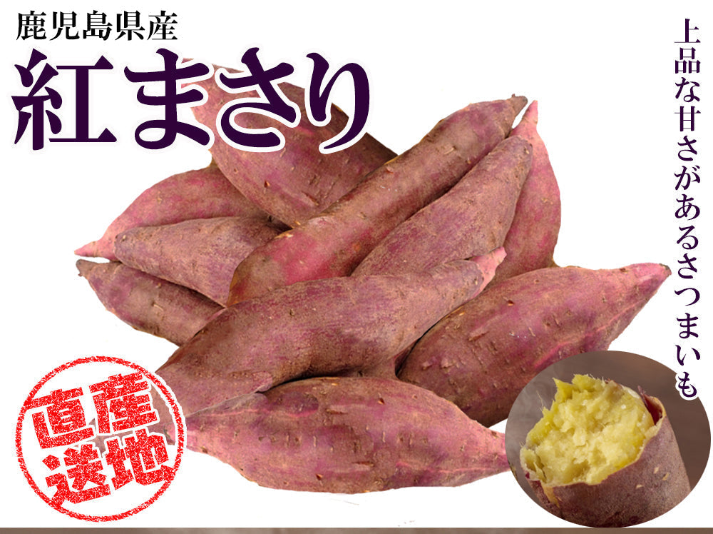 【最安値挑戦祭】紅まさり さつまいも 5kg 送料無料 産地直送 産直 土付き さつま芋 薩摩芋 焼きいも 焼き芋 石焼き芋 芋 いも イモ 鹿児島県産 ngs-005