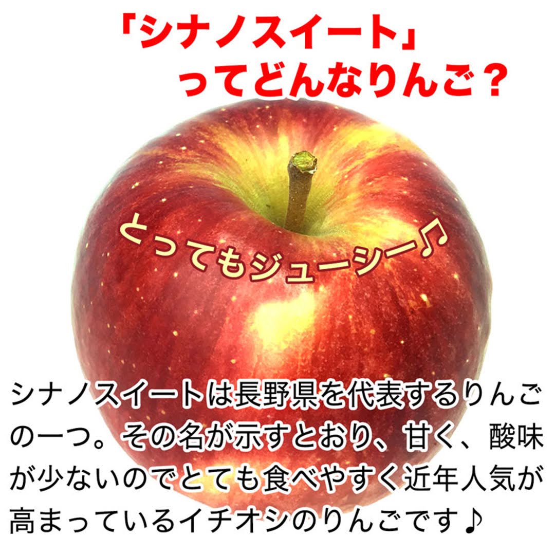 【2023年産予約開始！数量限定！】シナノスイート 加工用 約2.5kg(6-14玉) やさしい甘さでジューシー！10月中旬頃発送開始予定 #YAS0K025