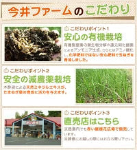淡路島 たまねぎ かくし玉 5キロ