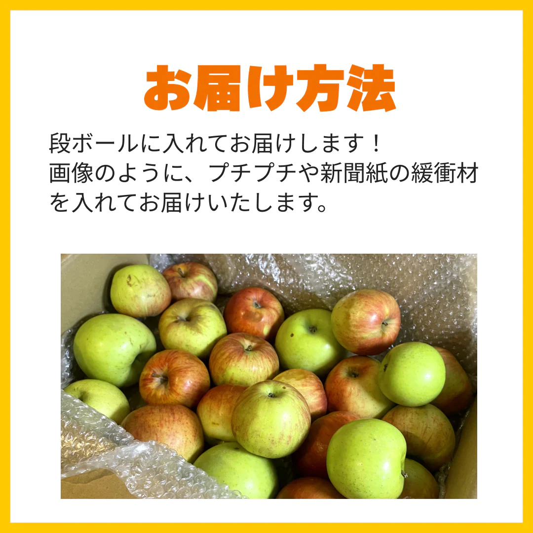 訳ありレスキューりんご 約3kg 長野県産 家庭用  品種混合 果物 フルーツ【順次出荷】【ゲリラセール】