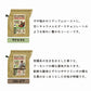 【COFFEE BREWER】コーヒー ブリューワー 3種セット B