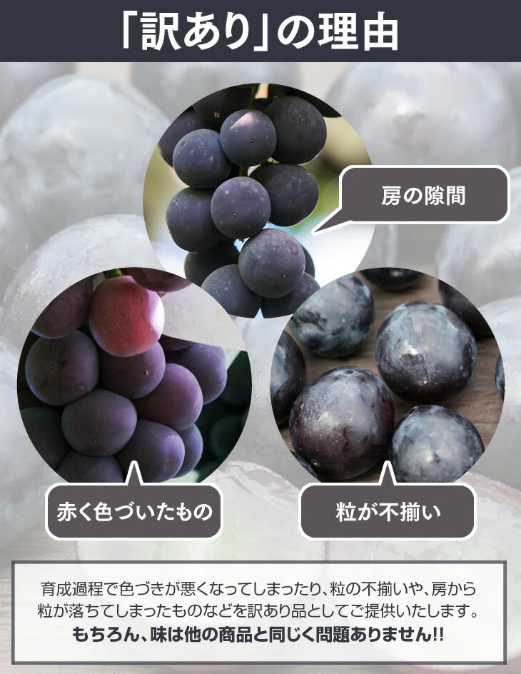 訳あり ぶどう ピオーネ 山形県産 約2kg(房数おまかせ) 送料無料※一部地域を除く gr05