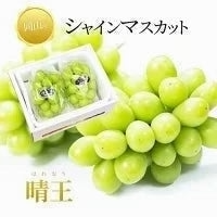 【9月上旬順次発送】送料無料 岡山産 シャインマスカット 晴王 優品2房 800-900g ぶどう【エコ得】【エコ得SALE】