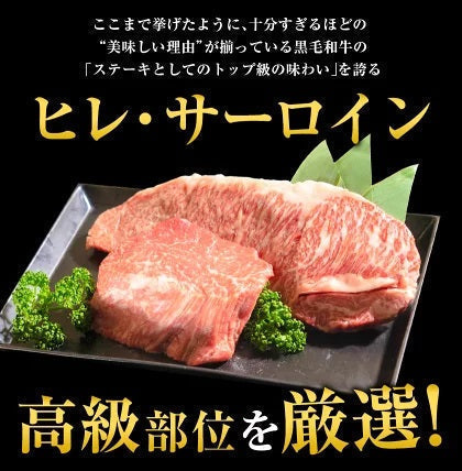 九州産黒毛和牛 厳選ステーキセット ヒレ200g サーロイン300g ステーキ肉 食べ比べ まとめ買いフードロス 食品ロス 削減支援 送料無料