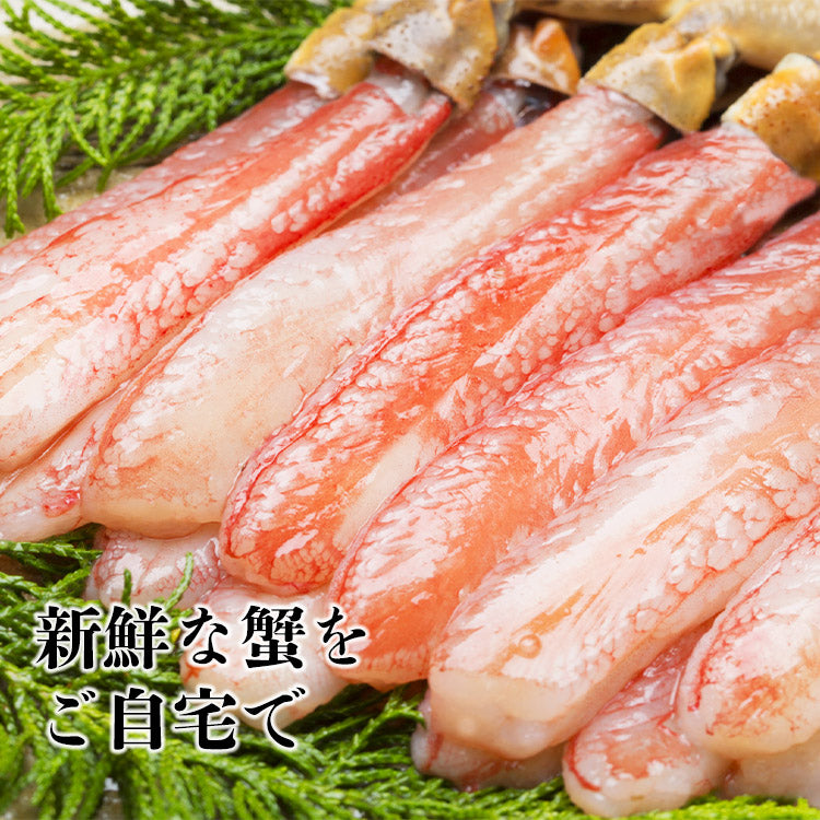 【48時間タイムセール】かに 太脚棒肉100％ 1kg 大40本(20本×2) お刺身で食べられる プレミアムずわい蟹ポーション 送料無料 ズワイガニ カニ 蟹