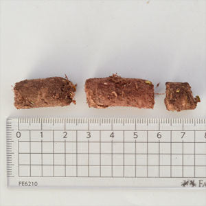 500ｇ K9ナチュラル ビーフフィースト