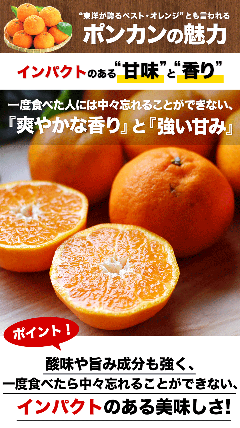 【販売解禁】訳あり 甘熟 ポンカン 5kg 送料無料  甘い みかん ぽんかん デコポン の生みの親 箱買い みかん 柑橘 旬の果物 くまもと風土 熊本県産 みかん【最安値に挑戦】2月上旬-2月末頃より発送予定