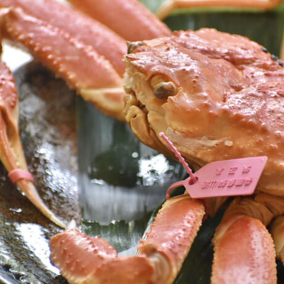 浜ゆで 松葉がに 大サイズ約700ｇ
